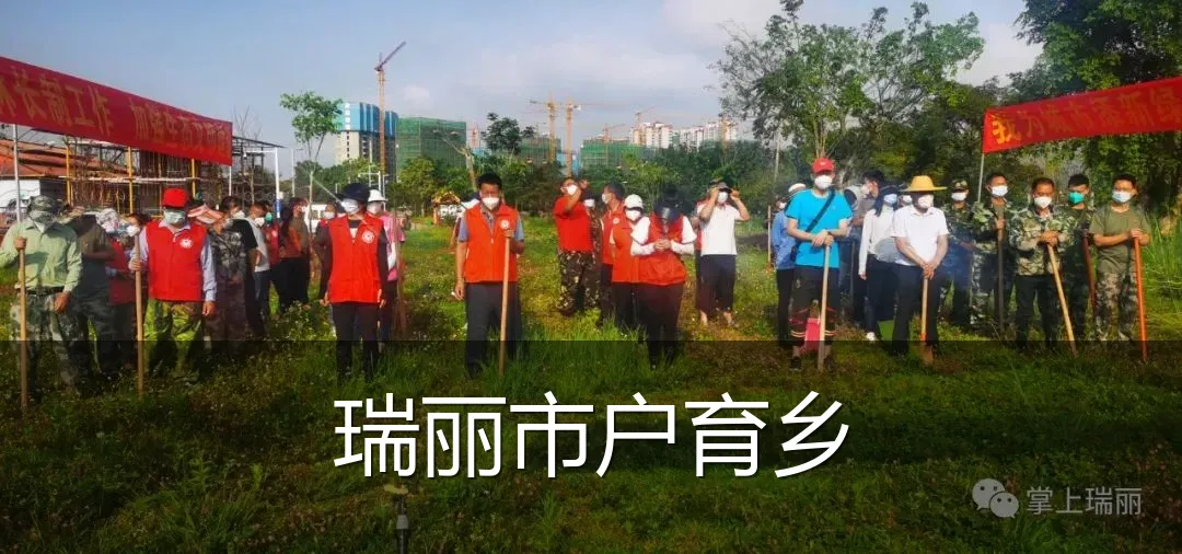 瑞丽市户育乡